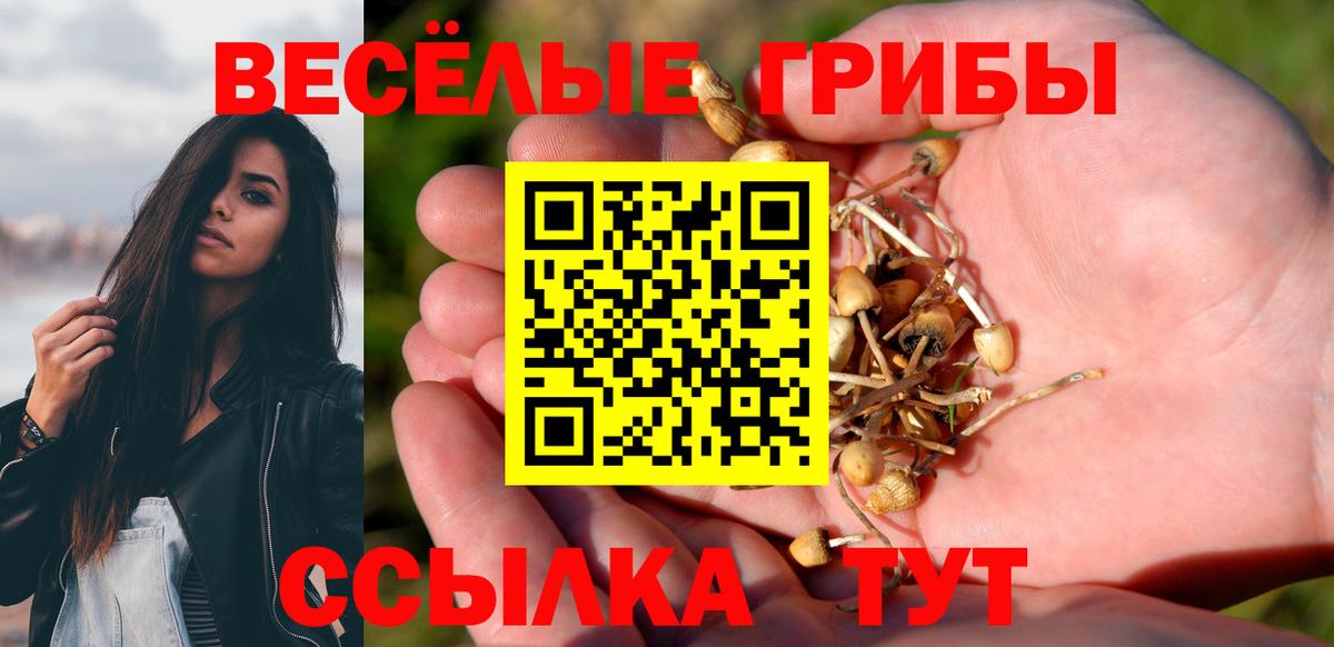 магазин  наркотиков  Вход с VPN  Набережные Челны  Галлюциногенные грибы Psilocybe 